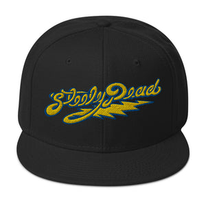 02 Steely Dead Flat Brim Snapback Hat
