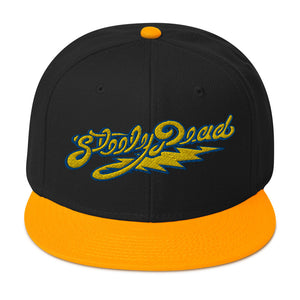 02 Steely Dead Flat Brim Snapback Hat
